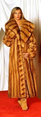 Amazing Full Length Canadian Golden Sable Fur Coat Large Shawl Collar