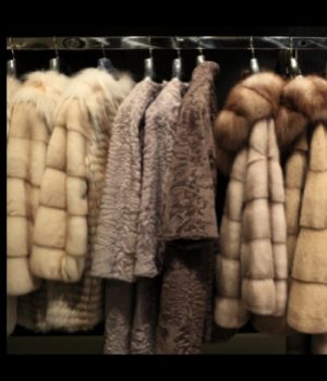 Cold fur storage